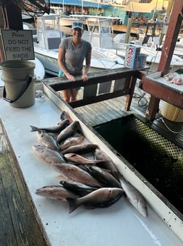 Fishing in Haleiwa, Hawaii