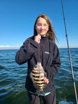 Sheepshead Fishing in Crystal River, Florida