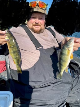 Perch Fishing in Manistee, Michigan
