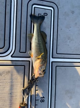 Fishing in Pembroke Pines, Florida