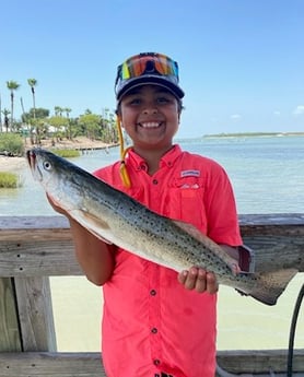 Speckled Trout Fishing in Ingleside, Texas