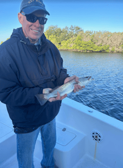 Speckled Trout Fishing in Tampa, Florida