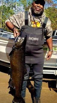 Coho Salmon Fishing in Verona Beach, New York