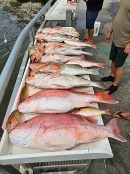 Fishing in New Port Richey, Florida