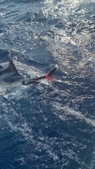 Fishing in Atlantic Beach, North Carolina