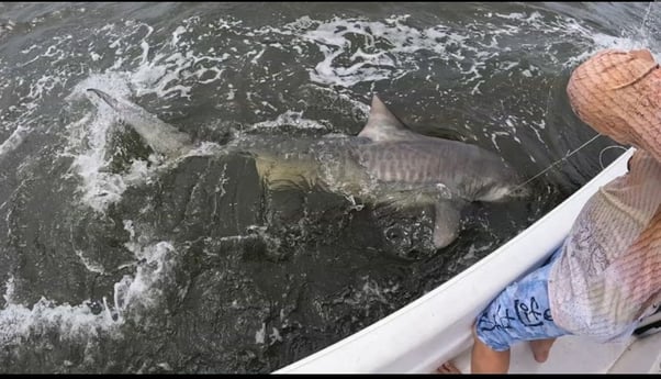 Fishing in Cedar Key, Florida