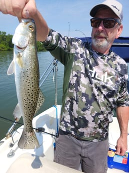 Speckled Trout Fishing in