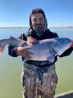 Blue Catfish Fishing in Dallas, Texas
