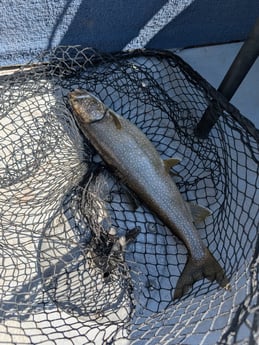 Fishing in Bangor, Maine