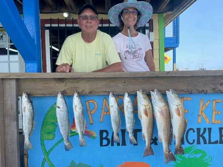 Redfish, Speckled Trout Fishing in Port Aransas, Texas