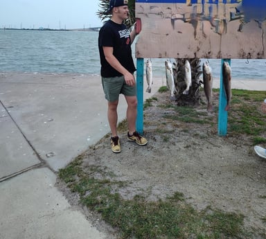 Redfish, Speckled Trout Fishing in