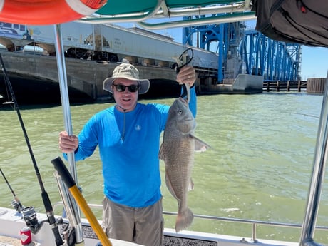 Fishing in Galveston, Texas