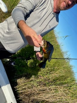 Fishing in Pembroke Pines, Florida