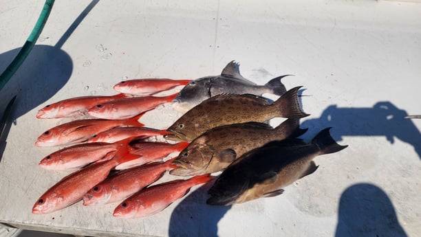 Fishing in Destin, Florida