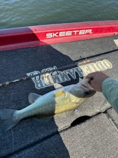 Fishing in Alba, Texas