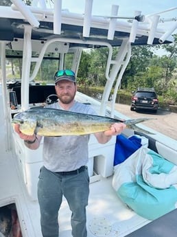 Mahi Mahi Fishing in Charleston, South Carolina