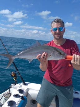 Amberjack fishing in Clearwater, Florida
