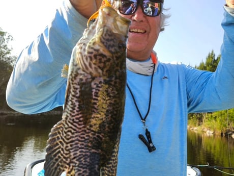 Fishing in Fort Lauderdale, Florida