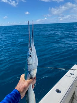 Fishing in Key West, Florida