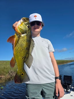 Fishing in Davie, Florida