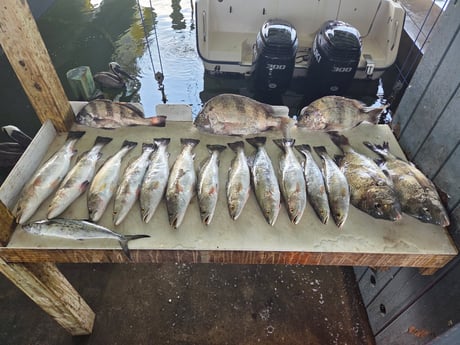 Fishing in Houston, Texas