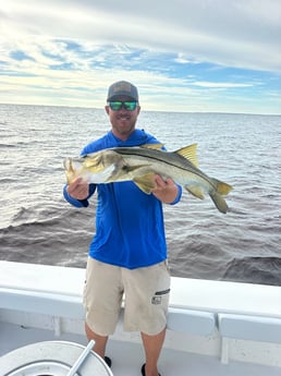 Fishing in Boca Grande, Florida