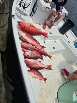 Fishing in Gulf Shores, Alabama