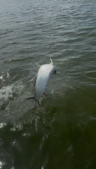 Fishing in Marco Island, Florida