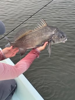 Fishing in Port Orange, Florida