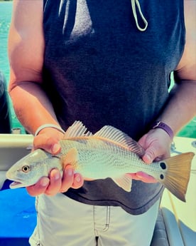 Fishing in Destin, Florida