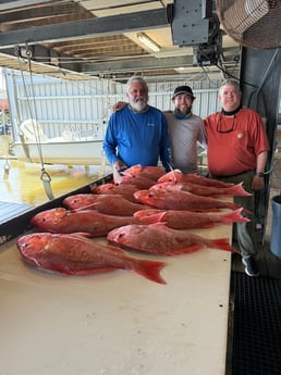Fishing in Buras, Louisiana