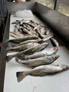 Fishing in Theodore, Alabama