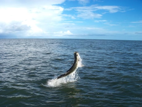 Fishing in Islamorada, Florida