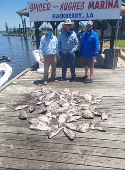 Black Drum, Sheepshead Fishing in Sulphur, Louisiana