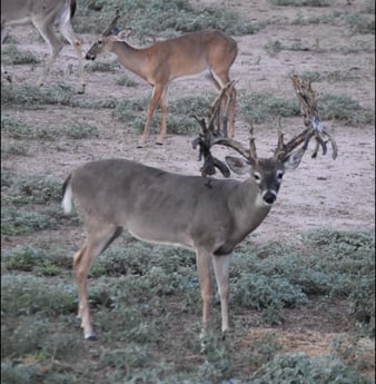 Fishing in McAllen, Texas