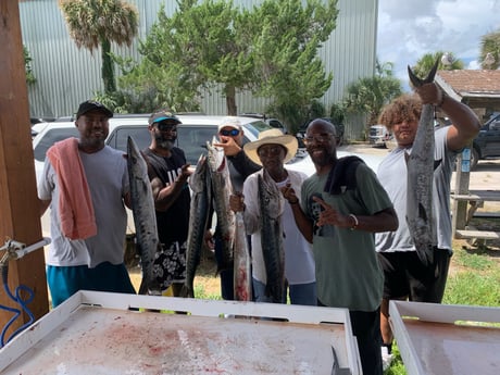 Barracuda fishing in Atlantic Beach, Florida