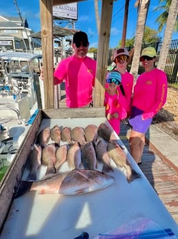 Fishing in Tavernier, Florida