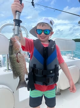Fishing in Tavernier, Florida