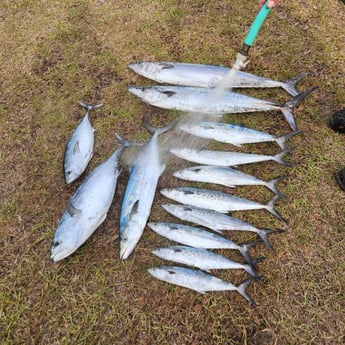 Fishing in Crestview, Florida