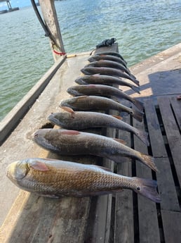 Redfish Fishing in Rockport, Texas
