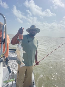 Black Drum fishing in Palacios, Texas