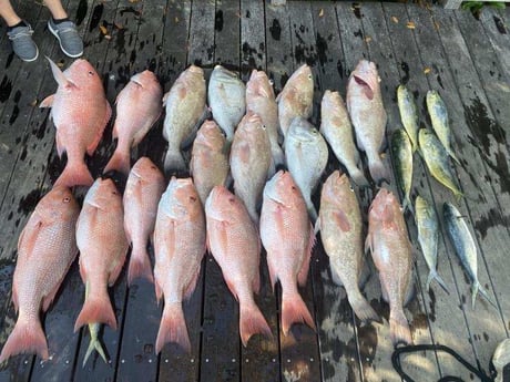 Fishing in Fort Myers Beach, Florida