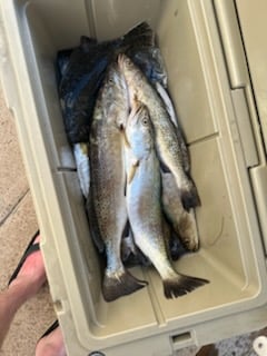 Fishing in South Padre Island, Texas