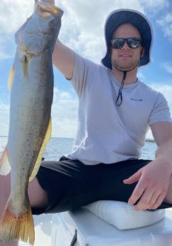 Speckled Trout Fishing in Panama City, Florida