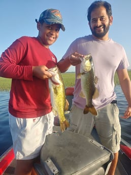 Fishing in St. Cloud, Florida