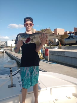 Fishing in Boca Grande, Florida