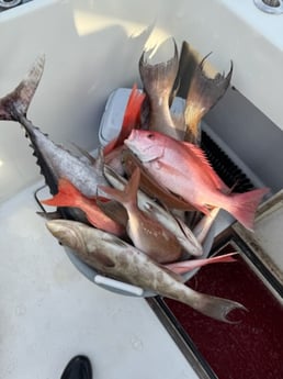 Fishing in Panama City, Florida