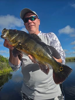 Fishing in Davie, Florida