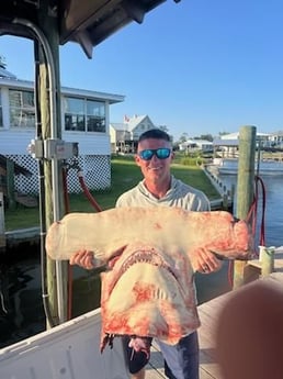 Fishing in Orange Beach, Alabama