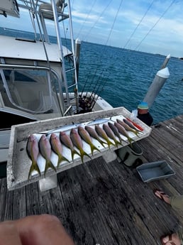 Fishing in Key West, Florida
